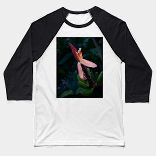 Botanical Baseball T-Shirt